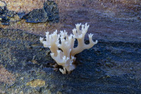 /album/foto-adriano/58a8366-copia-jpg/